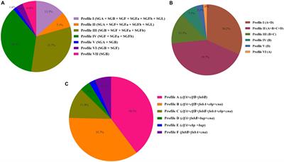 Prevalence, Genetic Diversity, and Temporary Shifts of Inducible Clindamycin Resistance Staphylococcus aureus Clones in Tehran, Iran: A Molecular–Epidemiological Analysis From 2013 to 2018